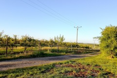 518374457_10236440160015891_6183178742044347892_n