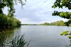 519386485_10236440160295898_5824114164539432198_n