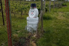 519457940_10236440159095868_7019304382783704807_n