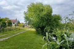 519461921_10236440160455902_6012844463495227642_n