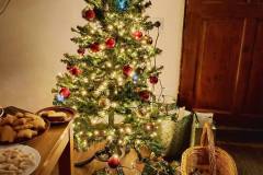 486379143_9836409913057623_6559502327018612611_n