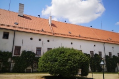 IMG_20230614_115111